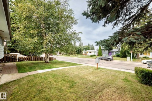 Manicured lawn with mature trees and a brick-finish pathway - 11007 37 Avenue Nw, Edmonton, AB 