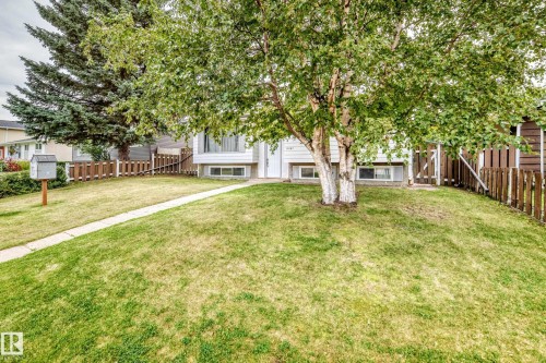 Expansive front lawn with mature trees, established sidewalk, and wood picket fencing - 11007 37 Avenue Nw, Edmonton, AB 