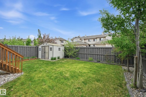 Expansive green lawn with a storage shed, wood fence, and a wood staircase - 1111 176 Street Sw, Edmonton, AB 