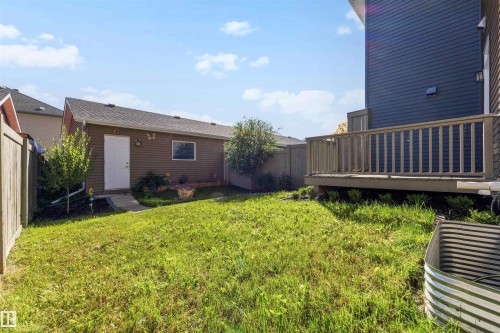 Expansive backyard featuring a manicured lawn, a built-in deck, and a detached shed with a window - 2125 24 Street Nw, Edmonton, AB 