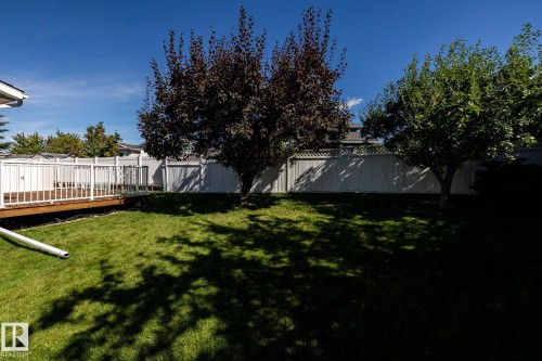 Expansive backyard featuring a manicured lawn, established trees, and a wooden deck with white railings - 89 Ozerna Road Nw, Edmonton, AB 