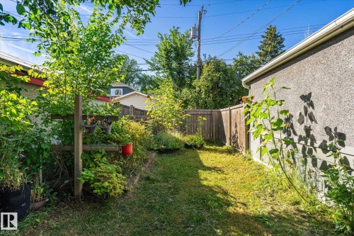 Grassed side yard featuring a wood fence, stucco exterior, and mature greenery - 10943 72 Avenue Nw, Edmonton, AB 