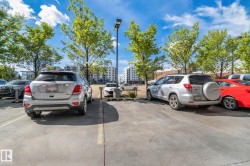 Paved parking area featuring mature trees and street lighting, with multi-story buildings in the background - 