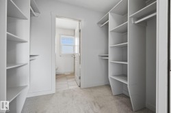 Built-in shelving, hanging rods, and light-toned carpeting - 