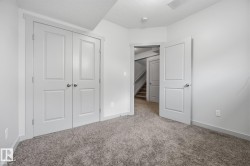 Plush carpet flooring, white painted walls, white trim, and a white paneled door - 
