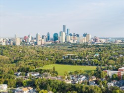 Expansive green spaces and mature tree canopy surround residential areas - 