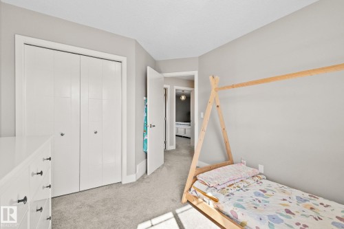 Soft gray wall paint with white trim, light gray carpeting, and a white bi-fold closet - 2096 Redtail Common Nw, Edmonton, AB 