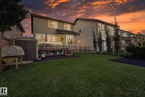 Expansive green lawn with a multi-level wood deck featuring glass railings, a built-in storage shed, and mature perimeter trees - 2096 Redtail Common Nw, Edmonton, AB 