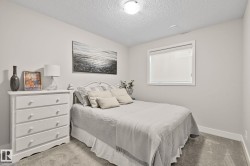 Bright secondary bedroom featuring neutral décor, carpet flooring, a double-hung window with cellular shades, and a white three-drawer dresser with integrated hardware - 