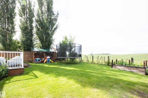 Expansive green lawn with mature trees and a wooden privacy fence - 5502 60 Avenue, Barrhead, AB - Outdoor