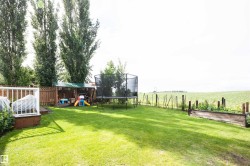 Expansive green lawn with mature trees and a wooden privacy fence - 