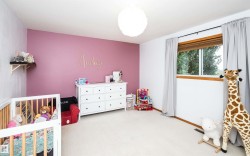 Room featuring a partial accent wall with a light pink finish, light-colored carpet, a window with wood trim, and a white ceiling light fixture - 