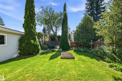 Expansive lawn area, raised garden bed, mature perimeter landscaping, wood fence, and exterior siding - 14307 50 Avenue Nw, Edmonton, AB 