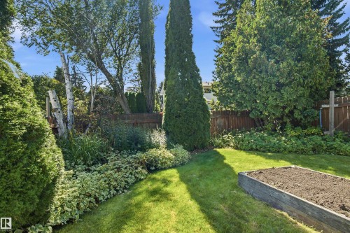 Expansive backyard featuring a manicured lawn, established garden beds, and mature trees providing natural screening - 14307 50 Avenue Nw, Edmonton, AB 