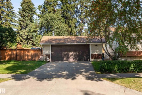 Attached garage with a concrete driveway, mature front yard tree, and wood fence - 14906 76 Avenue Nw, Edmonton, AB 
