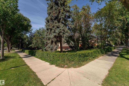 Manicured hedges border the property, featuring mature trees and a concrete sidewalk - 14906 76 Avenue Nw, Edmonton, AB 