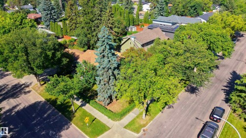 Residential street with mature trees, sidewalks, and established landscaping - 14906 76 Avenue Nw, Edmonton, AB 
