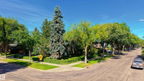 Mature tree-lined street featuring established landscaping with mixed deciduous and coniferous trees, manicured lawn areas, and paved driveway access - 14906 76 Avenue Nw, Edmonton, AB 