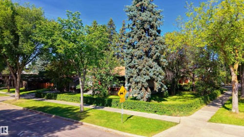 Manicured lawn with mature trees and established hedging - 14906 76 Avenue Nw, Edmonton, AB 