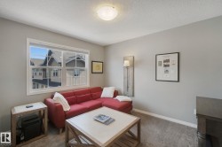 Neutral wall color, carpeted flooring, large window, and ceiling-mounted light fixture - 
