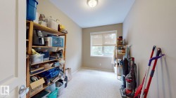 Carpeted room with a window, neutral wall paint, and a ceiling-mounted light fixture - 
