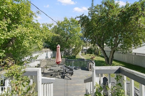 Wood deck with white railing, mature trees, and fenced perimeter - 12035 83 Street Nw, Edmonton, AB 