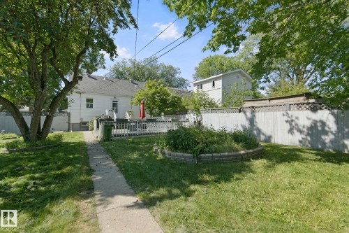 Expansive grassy yard with mature trees, a concrete walkway, and a raised brick planter bed - 12035 83 Street Nw, Edmonton, AB 