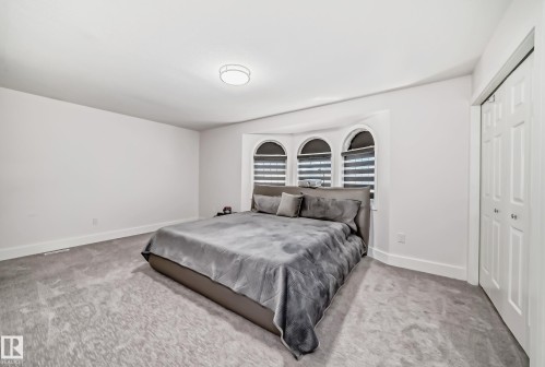 Recessed arch-top windows with privacy blinds, plush grey carpeting, and a flush-mount ceiling light fixture - 4608 43 Avenue Nw, Edmonton, AB 