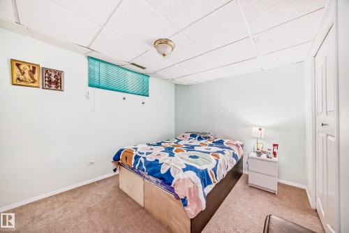Carpeted flooring, drop ceiling, and a built-in closet with white panel doors - 4608 43 Avenue Nw, Edmonton, AB 