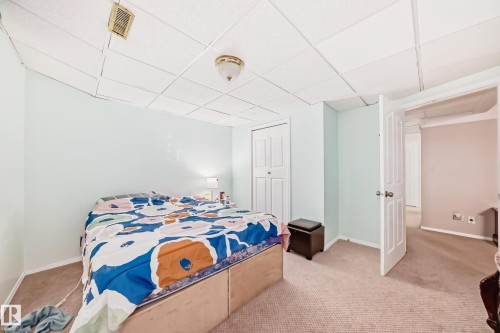 Room featuring neutral carpeting, light blue walls, and a drop ceiling - 4608 43 Avenue Nw, Edmonton, AB 