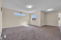Spacious room featuring neutral carpeting, light beige walls, multiple windows, and flush-mount ceiling lighting - 