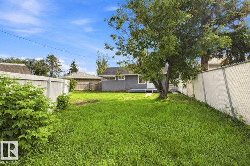 Expansive yard featuring a mature tree, chain link fencing, and a white wood fence - 15812 110A Avenue Nw, Edmonton, AB 