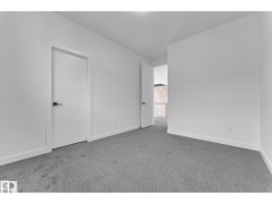 Grey carpeting with white walls and trim - 
