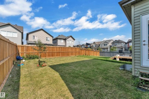 Expansive backyard featuring a manicured lawn and a full privacy fence - 2606 Donaghey Crescent Sw, Edmonton, AB - Outdoor With Backyard