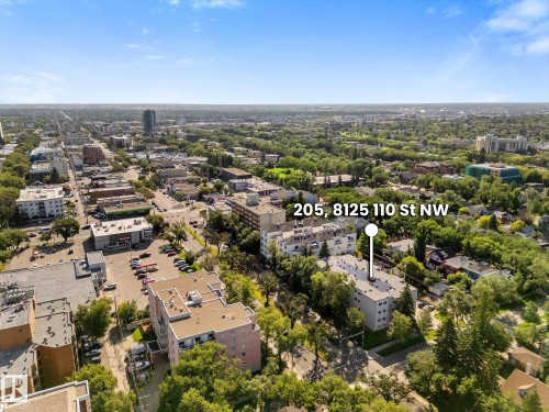 Urban setting with a mix of commercial and residential structures, extensive tree canopy, and established infrastructure - #205 8125 110 St Nw, Edmonton, AB 