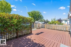 Expansive wooden deck with privacy lattice and natural greenery - 