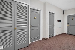 Entryway featuring patterned carpeting, textured wall finish, and multiple grey paneled doors with brass hardware - 