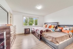 White walls with wood-finish flooring - 