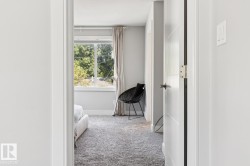 Plush carpeting, a large window, and light gray wall tones - 