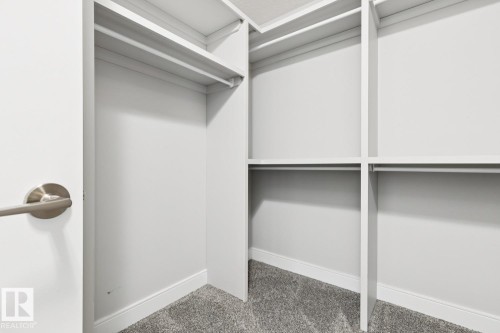 Walk-in closet with carpet flooring, integrated shelving, and hanging rods - 9919 79 Street Nw, Edmonton, AB 