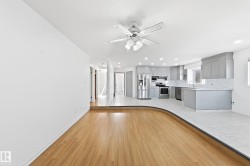 Wood-finish flooring with a curved transition to tiled flooring, a kitchen featuring light gray cabinetry, stainless steel appliances, and recessed lighting - 
