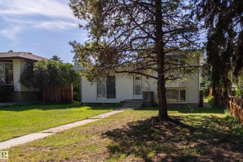 White siding exterior with a prominent front tree, concrete walkway, and established landscaping - 10738 129 Street Nw, Edmonton, AB 