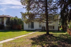 White siding exterior with a prominent front tree, concrete walkway, and established landscaping - 