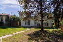 White siding exterior with a prominent front tree, concrete walkway, and established landscaping - 10738 129 Street Nw, Edmonton, AB 