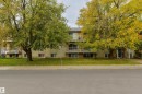 Multi-story building featuring balconies with white railings, a ground-level entrance with a glass door, and a grass lawn with mature trees - #205 10140 151 St Nw, Edmonton, AB  - Outdoor With Balcony With Facade 