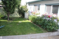 Manicured lawn area with a mature tree - 