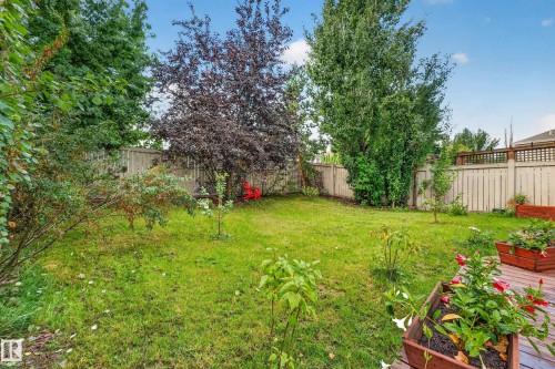11813 11B Avenue Nw, Edmonton, AB 