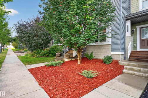 9082 Rosenthal Link Link Nw, Edmonton, AB 