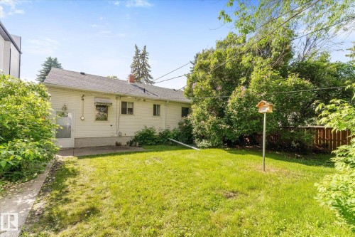 Manicured lawn with mature trees and established perimeter plantings - 9315 86 Street Nw, Edmonton, AB 