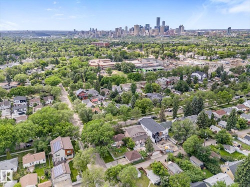 Lush green tree canopy, mature landscaping, and a distant cityscape - 9315 86 Street Nw, Edmonton, AB 